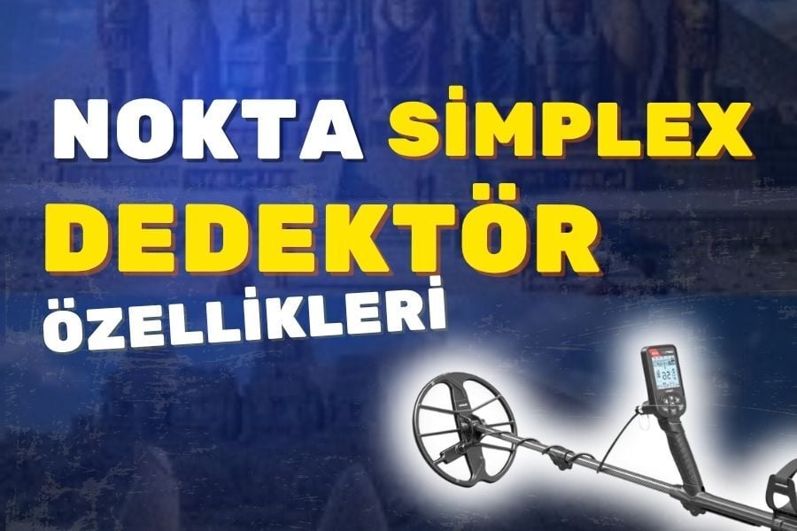 Simplex Dedektör 