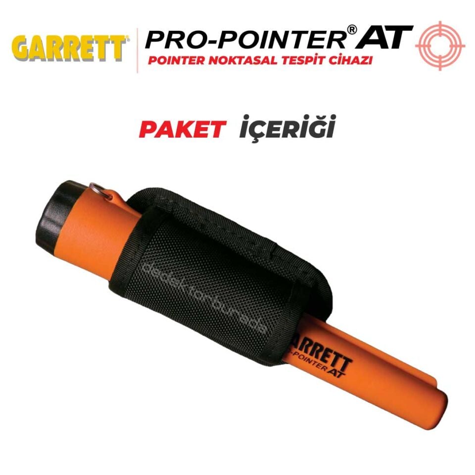 Pro Pointer AT