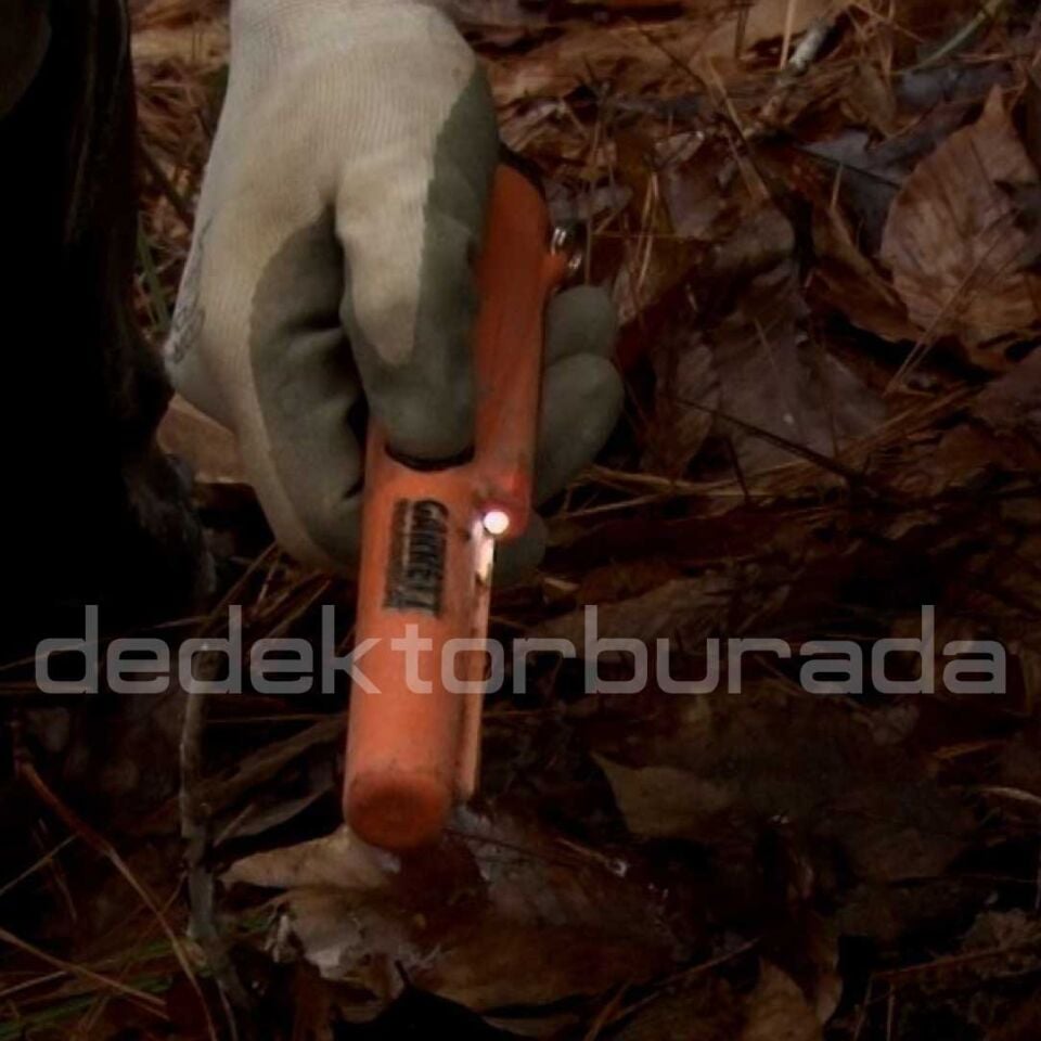Pro Pointer AT