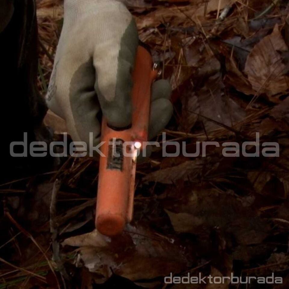 Pro Pointer At Z-Lynk Pinpointer Dedektör
