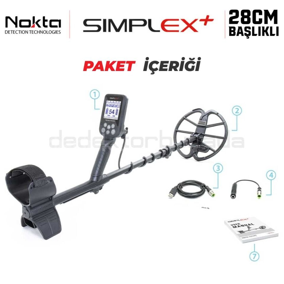Simplex + Dedektör